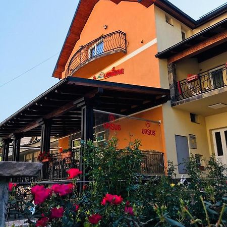 Pensiunea Montana Borsa Mm Băile Borşa Eksteriør bilde