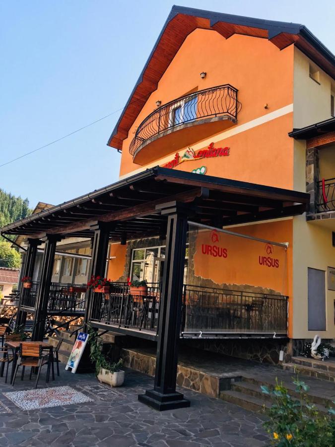 Pensiunea Montana Borsa Mm Băile Borşa Eksteriør bilde