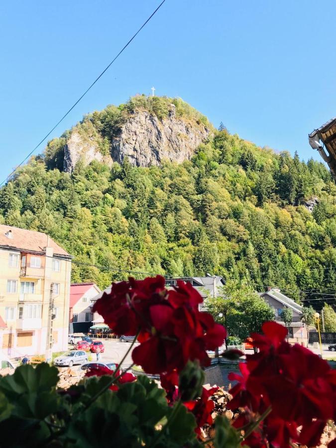 Pensiunea Montana Borsa Mm Băile Borşa Eksteriør bilde