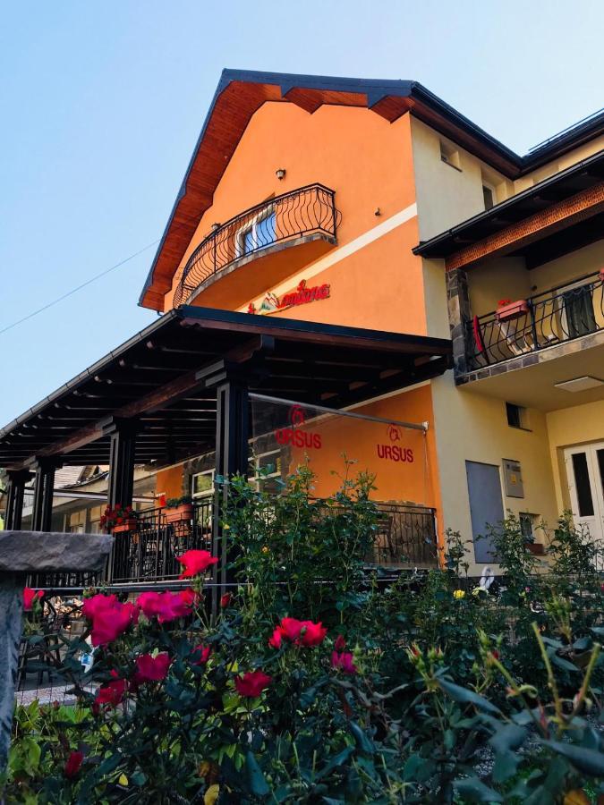 Pensiunea Montana Borsa Mm Băile Borşa Eksteriør bilde